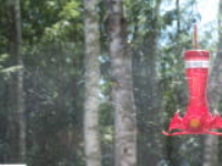 100_6706.jpg